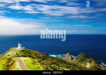 Phare du cap Reinga, extrémité nord de la Nouvelle Zélande Banque D'Images