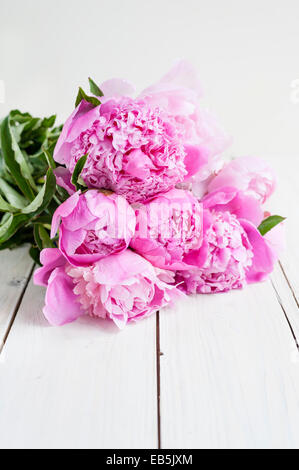 Un bouquet de rose Sarah Bernhardt découper des pivoines sur une table en bois blanc Banque D'Images