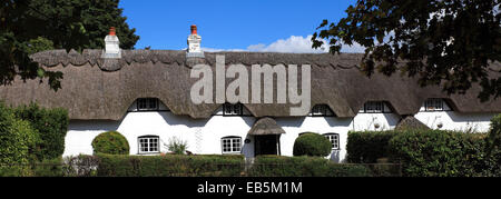 L'été, dans la ville de Lyndhurst cottages blancs, Parc National de New Forest, Hampshire County ; Angleterre ; la Grande-Bretagne, Royaume-Uni Banque D'Images