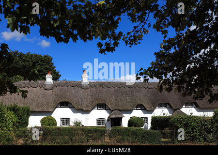 L'été, dans la ville de Lyndhurst cottages blancs, Parc National de New Forest, Hampshire County ; Angleterre ; la Grande-Bretagne, Royaume-Uni Banque D'Images