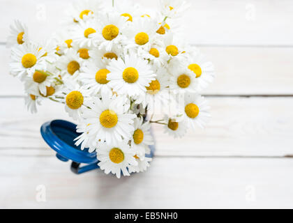 Une bande d'ox-eye daisies dans un pot de café bleu sur un tableau blanc Banque D'Images