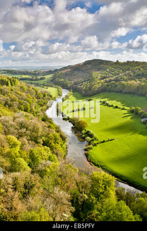 Rivière Wye ; de Symonds Yat ; forêt de Dean ; UK Banque D'Images