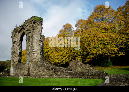 Le mercredi 26 novembre 2014 Photo : Vues de Neath Abbey Re : Vues de Neath, Neath Port Talbot, Pays de Galles, Royaume-Uni Banque D'Images