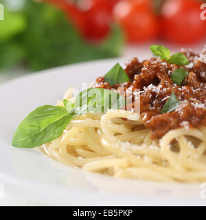 Spaghettis à la bolognaise pâtes nouilles repas avec de la viande hachée et les tomates sur une plaque Banque D'Images