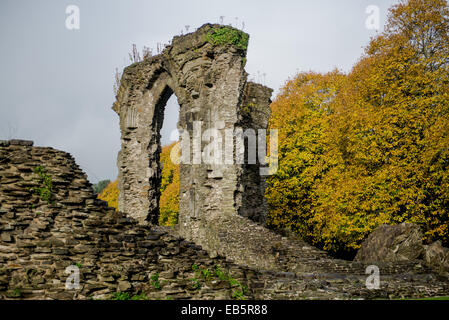 Le mercredi 26 novembre 2014 Photo : Vues de Neath Abbey Re : Vues de Neath, Neath Port Talbot, Pays de Galles, Royaume-Uni Banque D'Images