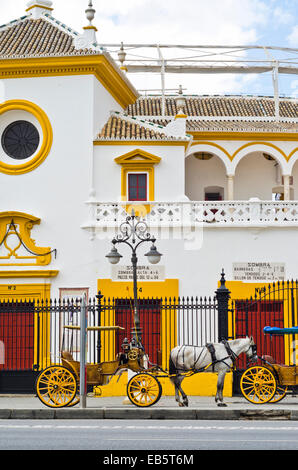 18e siècle les arénas de la Maestranza Arènes. Pendant la Semaine Sainte de Séville, Andalousie, Espagne La célébration, de l'Europe Banque D'Images