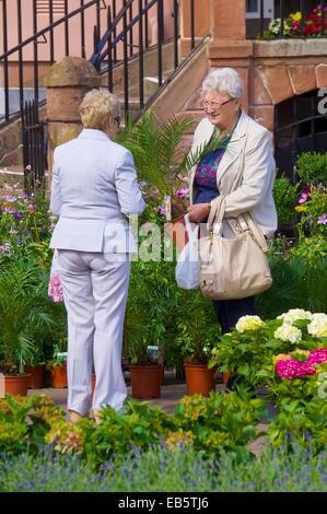 Les vieilles femmes à la recherche d'une usine. Carlisle Marché Continental Centre-ville de Carlisle Carlisle Cumbria England UK Banque D'Images