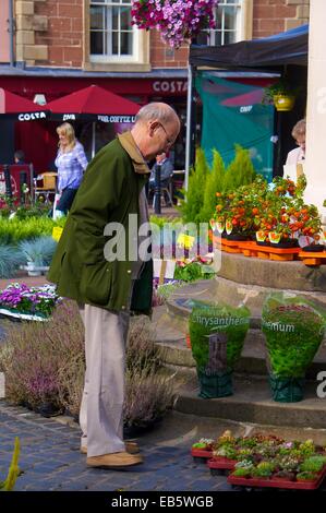 Old man looking at plants. Carlisle marché continental. Le centre-ville de Carlisle, Carlisle, Cumbria, England, UK. Banque D'Images