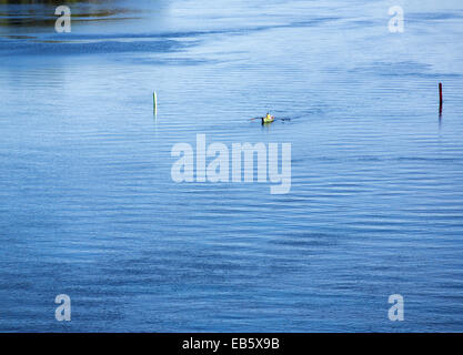 Vue aérienne d'un homme avirant une barque / skiff / canot à Leppävirta River , Finlande Banque D'Images