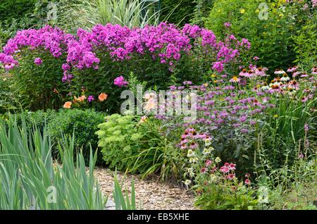 Jardin phlox (phlox paniculata), les baumes de l'abeille (monarda) et fleurs pourpre (Echinacea purpurea) Banque D'Images