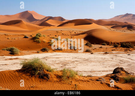 Les patrons des dunes de sable - Sossusvlei - Parc national du Namib-Naukluft National Park, Namibie, Afrique Banque D'Images