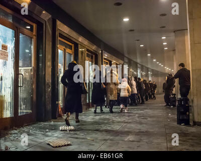 Kiev, Ukraine. 26 Nov, 2014. Quelques spectateurs qui s'est tenue en salle de concert. Ultranationalists ukrainien a tenté de perturber le concert du chanteur populaire Ani Lorak. Ils ont accusé qu'elle ne voulait pas condamner l'agression de la Russie contre leur pays. Ani Lorak après l'annexion de la Crimée a pris l'un des music awards en Russie, où il est très populaire. Les jeunes ont lancé l'entrée au Palais de l'Ukraine, où le concert a lieu les oeufs de poule, des pétards et des bombes de fumée. Crédit : Igor Golovnov/Alamy Live News Banque D'Images