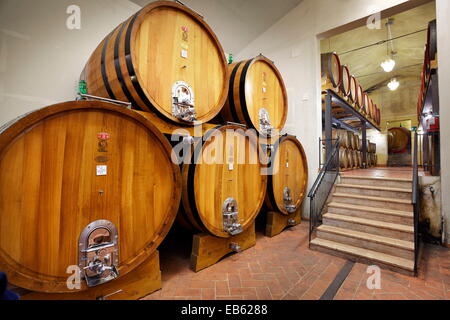 Des tonneaux de vin, Toscane, Italie Banque D'Images