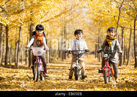 Trois enfants à vélo dans les bois d'automne Banque D'Images