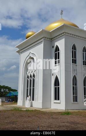 Les thaïlandais action pour prendre des photos de mariage de la tradition et de la culture de thai à mosquée le 15 juin 2014 à Ayutthaya, Thaïlande Banque D'Images