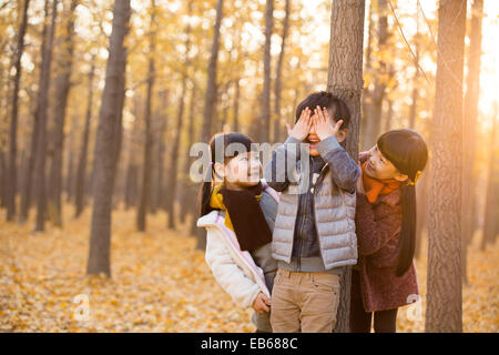Trois enfants jouant à cache-cache dans les bois d'automne Banque D'Images
