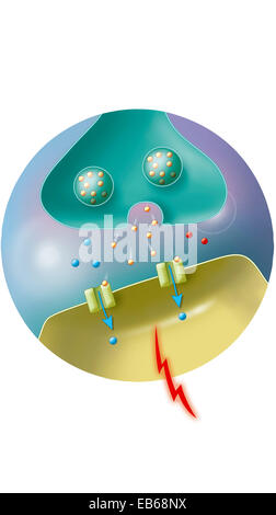 ILLUSTRATION DE SYNAPSE Banque D'Images