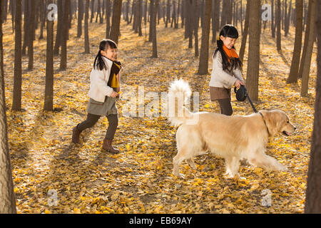 Happy girls Playing with dog in autumn woods Banque D'Images