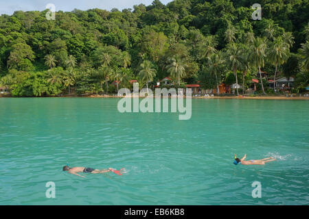 Koh Wai, Thaïlande . 27 Nov, 2014. Plongée avec tuba dans les eaux chaudes à Pakarang Resort, Koh Wai. Des centaines visiter chaque jour, mais peu de passer la nuit sur cette île. Le nombre de touristes en baisse par visiteur traditionnel, bien que les pays de l'augmentation de la Chine et de la Russie. Le premier ministre, un homme militaire inséré après le coup d'État, a annoncé que des élections ne peuvent être détenus jusqu'en 2016. Montrant d'abord un randonneur ayant volé des trucs et puis il se réchauffe dans le pays et son peuple. Crédit : Paul Quayle/Alamy Live News Banque D'Images