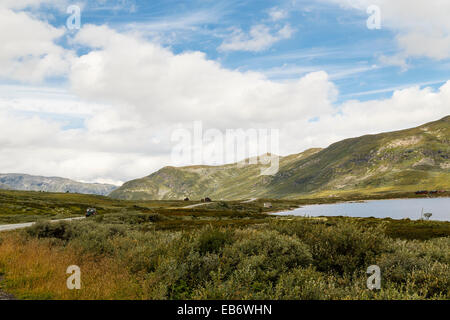 Eldrevatnet le lac, Laerdal, municipalité du comté de Sogn og Fjordane, en Norvège en été Banque D'Images