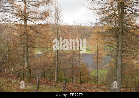 Une scène d'automne autour du village de Watendlath dans le Parc National du Lake District, Cumbria, England, UK Banque D'Images