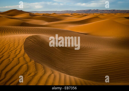 DUNES DE SABLE DE L'ERG LIHOUDI M'HAMID EL GHISLANE MAROC Banque D'Images