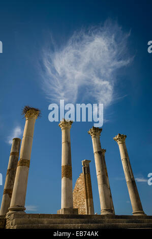 Le Capitole VOLOBILIS MAROC AFRIQUE ROMAN RUINS Banque D'Images