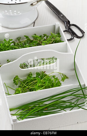 Jardin de fines herbes (marjolaine, cresson, romarin, thym, persil, ciboulette) dans la boîte en bois blanc sur la table de cuisine Banque D'Images