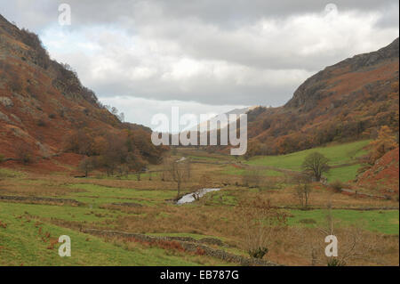 Une scène d'automne autour du village de Watendlath dans le Parc National du Lake District, Cumbria, England, UK Banque D'Images