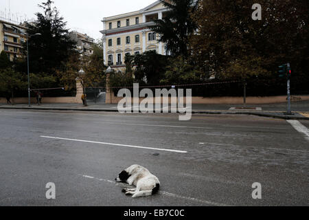 Thessalonique, Grèce. 27 novembre, 2014. Les gens manifester dans les rues de Thessalonique lors d'une réception ouverte 24h de grève générale nationale en Grèce pour protester contre les mesures d'austérité le 27 novembre 2014. Les syndicats grecs fermer les services publics et perturber les transports publics. Credit : Konstantinos Tsakalidis/Alamy Live News Banque D'Images