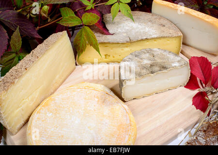 Fromages français différents produits dans les Alpes Banque D'Images