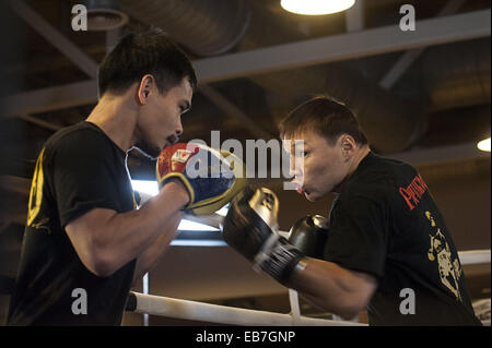 Moscou, Russie. 26 Nov, 2014. Boxeur russe Ruslan Provodnikov pratiques pendant une session de formation de boxe avant son combat avec Jose Luis Castillo du Mexique. Crédit : Anna Sergeeva/ZUMA/Alamy Fil Live News Banque D'Images