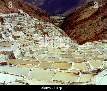 Pérou, Région de Cuzco, la Vallée Sacrée, Maras, Salinas, les étangs d'eau salée avec terrasse Banque D'Images