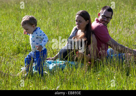 Une famille heureuse, une femme enceinte avec son mari et petit garçon passer du temps ensemble et de jouer à des jeux dans une prairie d'été Banque D'Images