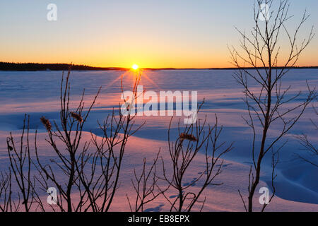 Paysage d'hiver. Coucher du soleil en Laponie, Finlande Banque D'Images
