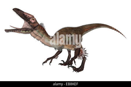 Rendu 3D d'un dinosaure utahraptor isolé sur fond blanc Banque D'Images