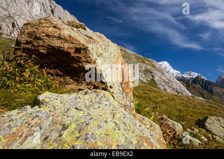 Lichen sur un rocher sur le Tour du Mont Blanc dans le Vallon de la Lex Blanche en Italie, sous le Mont Blanc. Banque D'Images