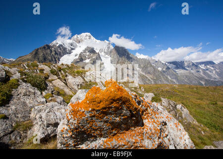 En regardant vers le Mont Blanc du haut Val Veny, Italie. Banque D'Images