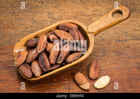 Scoop rustique rôti de noix de pili contre grunge table bois Banque D'Images