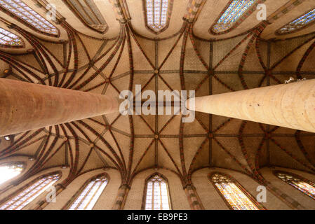 Romane gothique nervurée ou plafond de l'église des Jacobins, l'église des Jacobins ou monastère (1230) Toulouse France Banque D'Images