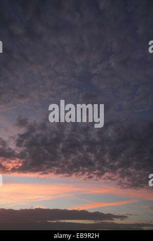 Fleecy, altocumulus, nuages dans le ciel du soir, Allemagne Banque D'Images