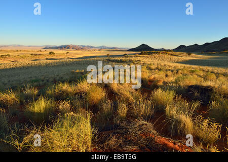 Vue sur le Namib Rand Nature Reserve, Désert du Namib, Namibie Banque D'Images