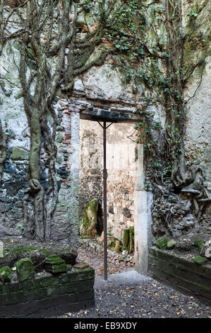 Villa Trissino Marzotto, Vicence, Italie. Intérieur de la villa inférieure en ruine, détruite par un incendie en 1841 Banque D'Images