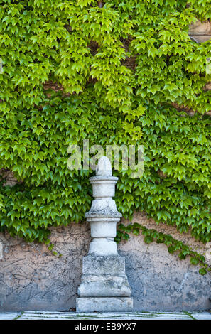 Villa Trissino Marzotto, Vicenza, Italie. Vigne (parthenocissus) couvre la façade de l'édifice original 15c Banque D'Images