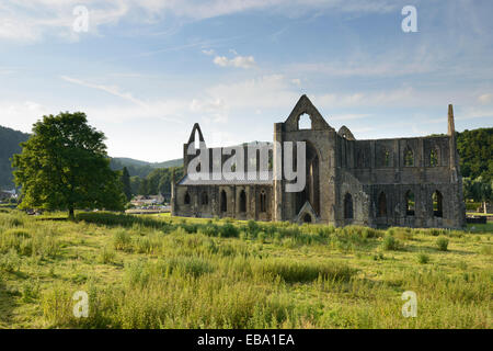 La ruine de l'abbaye de Tintern dans Monmouthshire, Wales. Banque D'Images