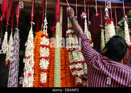 Novembre 2014. Vendeuse de fleurs à son échoppe dans le marché aux fleurs à Dhaka Bangladesh Banque D'Images