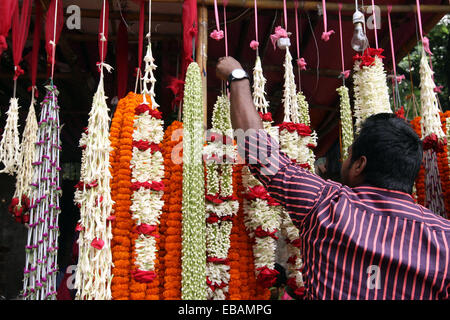 Novembre 2014. Vendeuse de fleurs à son échoppe dans le marché aux fleurs à Dhaka Bangladesh Banque D'Images