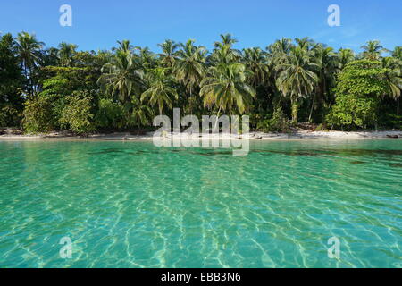 Plage des Caraïbes Pacifique de végétation tropicale et d'eau claire vue de la mer, îles Zapatilla, Bocas del Toro, PANAMA Banque D'Images