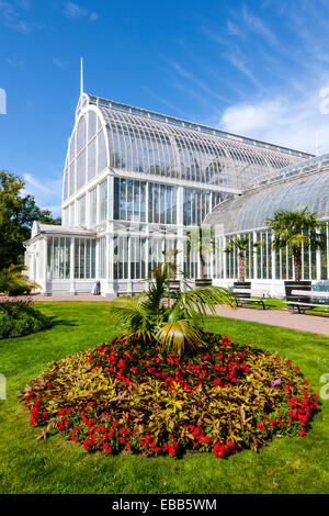 Le jardin de la société Suède Göteborg Palm house Banque D'Images