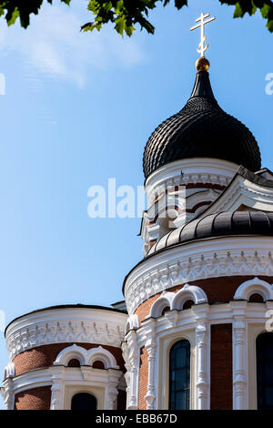 Estonie Tallinn St. cathédrale Alexandre Nevsky tourisme dômes oignon Banque D'Images